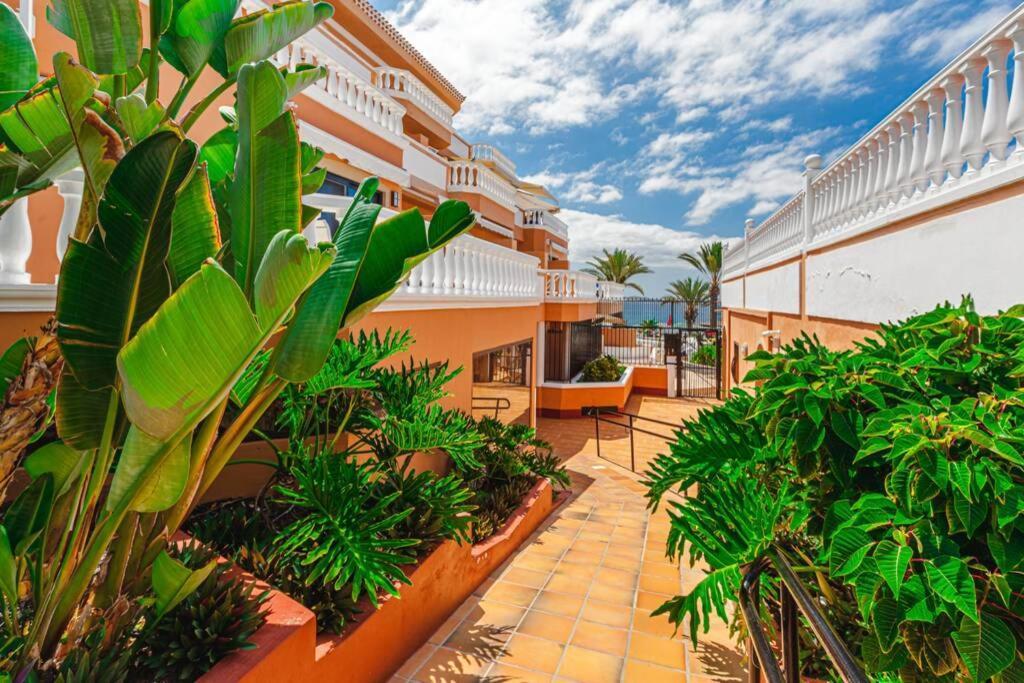 פלאייה דה לאס אמריקס Tenerife Royal Gardens One Bedroom Apartment מראה חיצוני תמונה